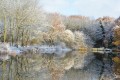 neige feerie2